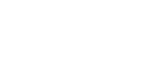 NSW Government White